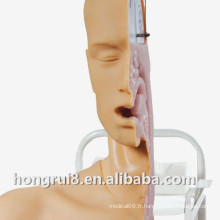 H88 High Intelligence Advanced Swallow Mechanism Nursing Model